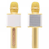 Мікрофон YS-10A MAGIC KARAOKE GOLD, фото 2