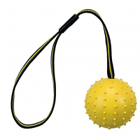 М'яч аппортировочный "Sporting ball", 6 см/35 см, натур резина