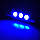 LED-лампа C5W (blau) CANBUS 39 мм 3 SMD5050 12V колір синій, фото 3