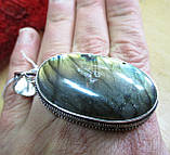 Шикарний срібний кулон із лабрадором "Золотий", фото 5