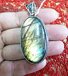 Шикарний срібний кулон із лабрадором "Золотий", фото 2