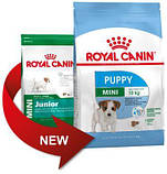 Сухий корм для цуценят Royal Canin (Роял Канін) MINI PUPPY від 2 до 10 місяців, 2 кг, фото 2