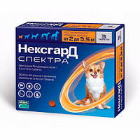 NexGard Spectra (НексГард Спектра) Таблетки от глистов, блох и клещей для собак от 2 до 3,5 кг