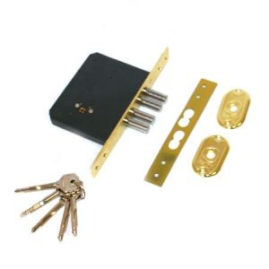 Перевстановлення замків Дніпр, фото 1