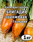 Насіння Буряк кормовий Бригадир (помаранчева) Германія ФП 500 г, фото 4