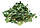Борова матка трава 50 грамів/ Ортилія однобока, фото 3