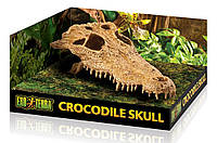 Декорація для тераріуму череп крокодила Exo-Terra Crocodile Skull PT2856