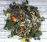 Карпатський Жіночий чай, фото 2