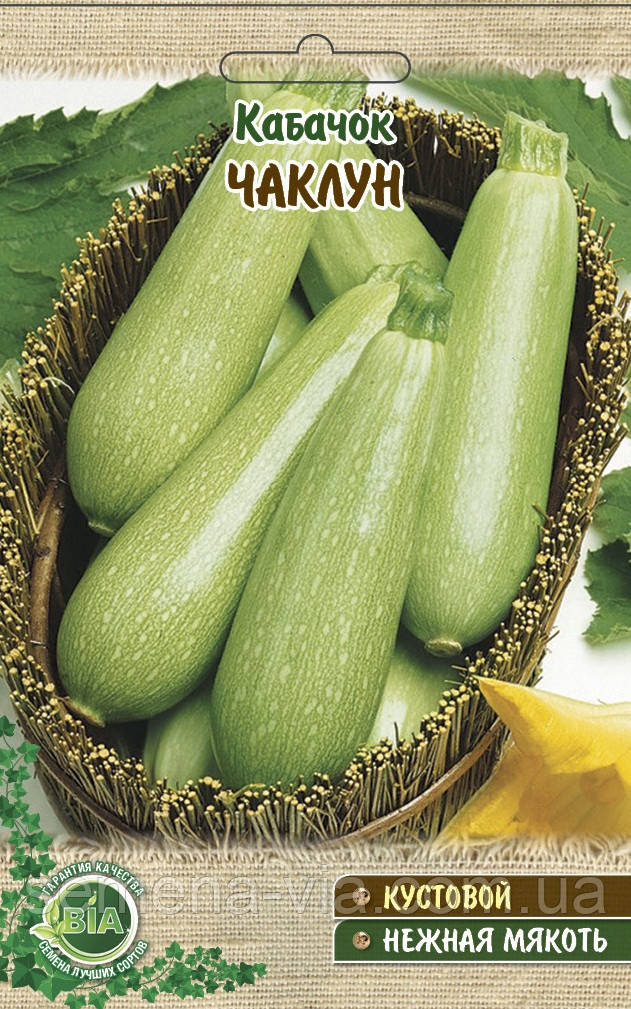 Кабачок Чаклун (15 г.) (в упаковці 10 шт.), фото 1