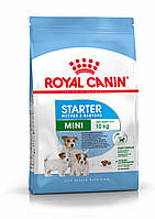 Royal Canin Mini Starter корм для щенков маленьких пород до 2-х месяцев, беременных и кормящих собак, 1кг