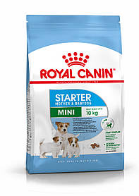 Royal Canin Mini Starter корм для цуценят малих порід до 2-х місяців, вагітних і годуючих собак, 8 кг