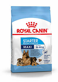 Royal Canin Maxi Starter корм для цуценят великих порід у період від'єму до 2-місячного віку, 4 кг
