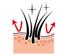 Royal Canin Shih Tzu Adult корм для ши-тцу, 1,5 кг, фото 3