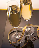 Tintarella Brut вино ігристе брют 0,75л., фото 5