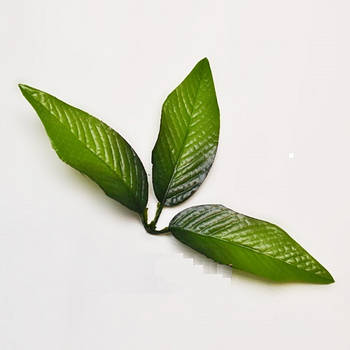 Аркуш осошки для букета NL-8 (430 шт./упа.) Штучні квіти