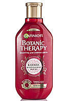 Шампунь Botanic THERAPY "Арганова олія та журавлина" (400 мл.)