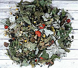 Карпатський Дитячий чай, фото 2