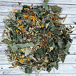 Карпатський Шлунковий чай 90 г, фото 2