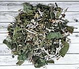 Карпатський Щитовидний чай, фото 2