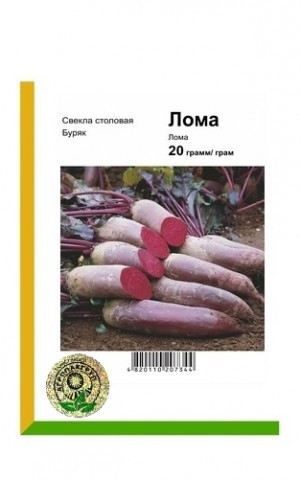 Насіння Буряка Брухту 20 гр, Rijk Zwaan, Голландія - фото 1 - id-p870256127