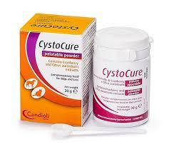 Cystocure (Цистокур) Candioli порошок 30 г без коробки