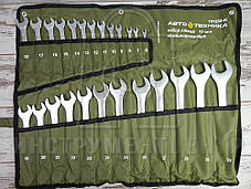 Набір ключів рожково-накидних ʺАвтотехникаʺ 101250 (25 предметів)