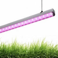 Лінійні світлодіодні LED (ЛІД) фитосветильники для росту рослин