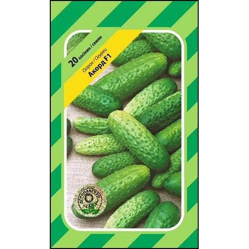Насіння огірків Акорд F1 20 сем., Bejo Zaden, Голландія