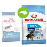 Сухий корм Royal Canin (Роял Канін) MAXI PUPPY для цуценят великих порід до 15 місяців, 15 кг АКЦІЯ, фото 2