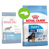 Корм Royal Canin (Роял Канін) MAXI PUPPY для цуценят великих порід до 15 місяців, 4 кг, фото 2