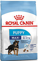 Сухий корм Royal Canin (Роял Канін) MAXI PUPPY для цуценят великих порід до 15 місяців, 15 кг АКЦІЯ