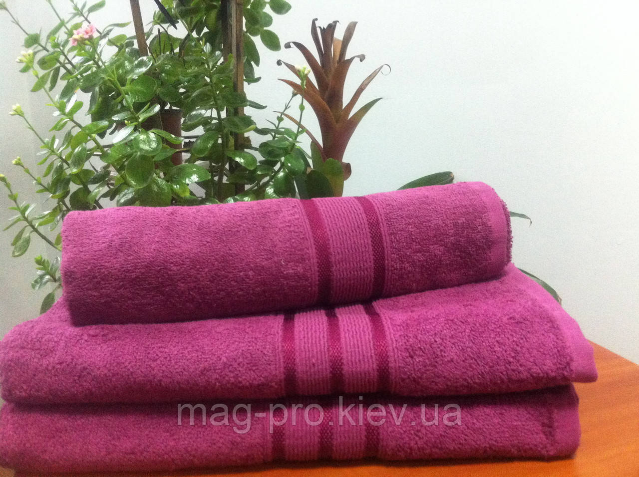 Махровое полотенце цветное 40х70 плотность 420гр./м2 Пакистан - фото 8 - id-p870527178