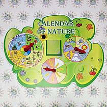 Календар природи англійською мовою. Calendar of Nature Зелений