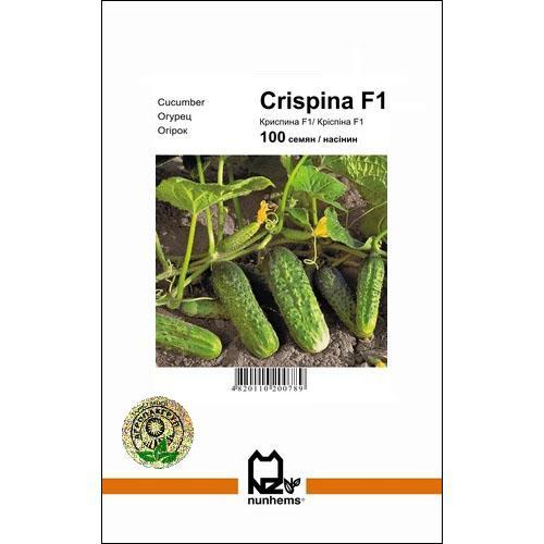 Семена огурца Криспина F1 100 сем., Nunhems, Голландия - фото 1 - id-p870592845