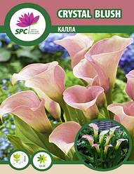 Calla (Калла) Crystal Blush
