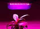 Фітопрожектор повного спектра 25 Вт, 25х13,2см для рослин, фото 2