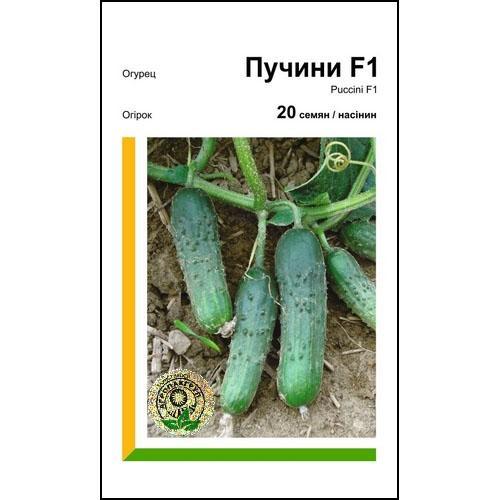 Насіння огірка Пучіні F1 10 насінин Rijk Zwaan, Голландія