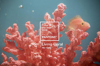 Колір настрою кораловий