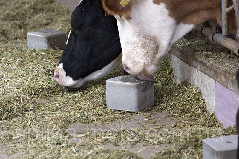 Сіль-лизунець для дійних корів "CALPHOS BLOCK" 3 кг (ROYAL ILAC, Великобританія-Туреччина)
