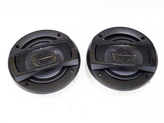 Pioneer TS-A1395S (240Вт) 2 смугові