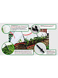 Парник з агроволокна фірми Agreen щільність 50, 3 м, фото 4