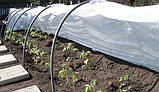 Парник з агроволокна фірми Agreen щільність 50, 15 м, фото 2