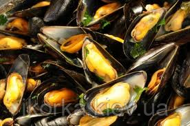 Мідії цілі в черепашці 50-70