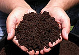 Почва для голубики Киев Грунт для посадки голубики продажа Киев. Торф кислий., фото 8