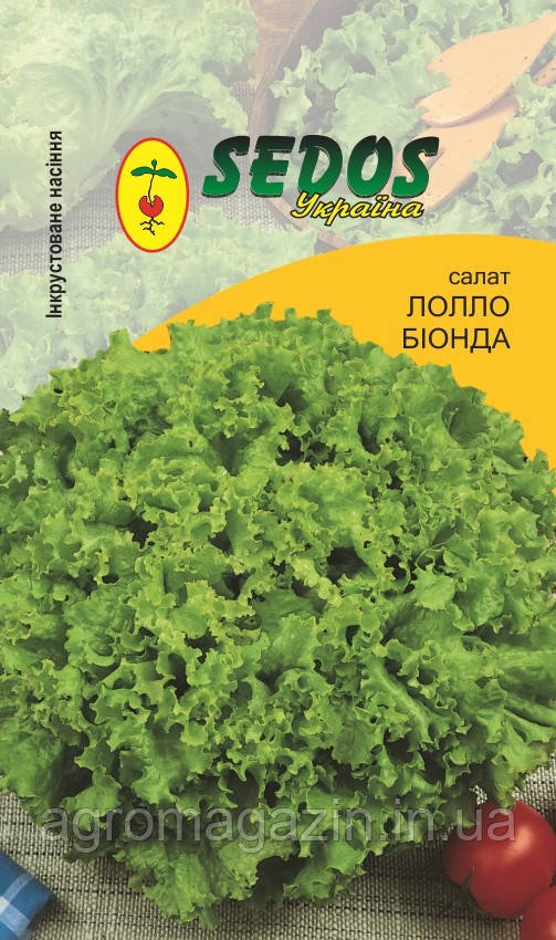 Салат "Лолла Бионда", 1 гр