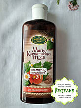 Шампунь натуральний для надяння об'єму "Магія Карпатських Трав" 
