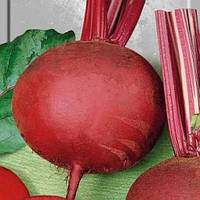 Насіння буряка Детройт (GSN Semences), 1 кг.