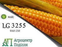 Насіння кукурудзи ЛГ 3255 ФАО 250