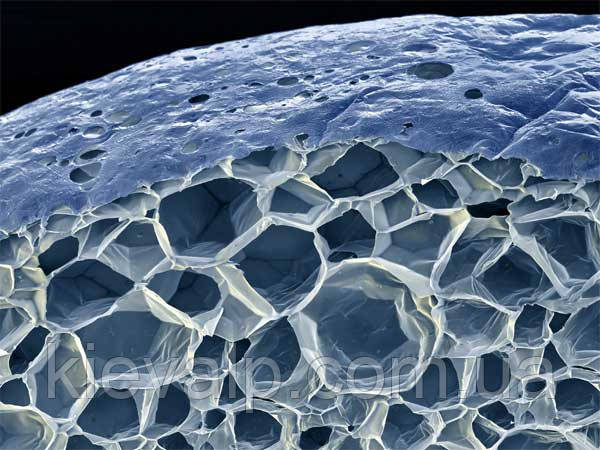 Правда о вреде пенопласта