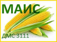 Насіння кукурудзи ДМС 3111 ФАО 310